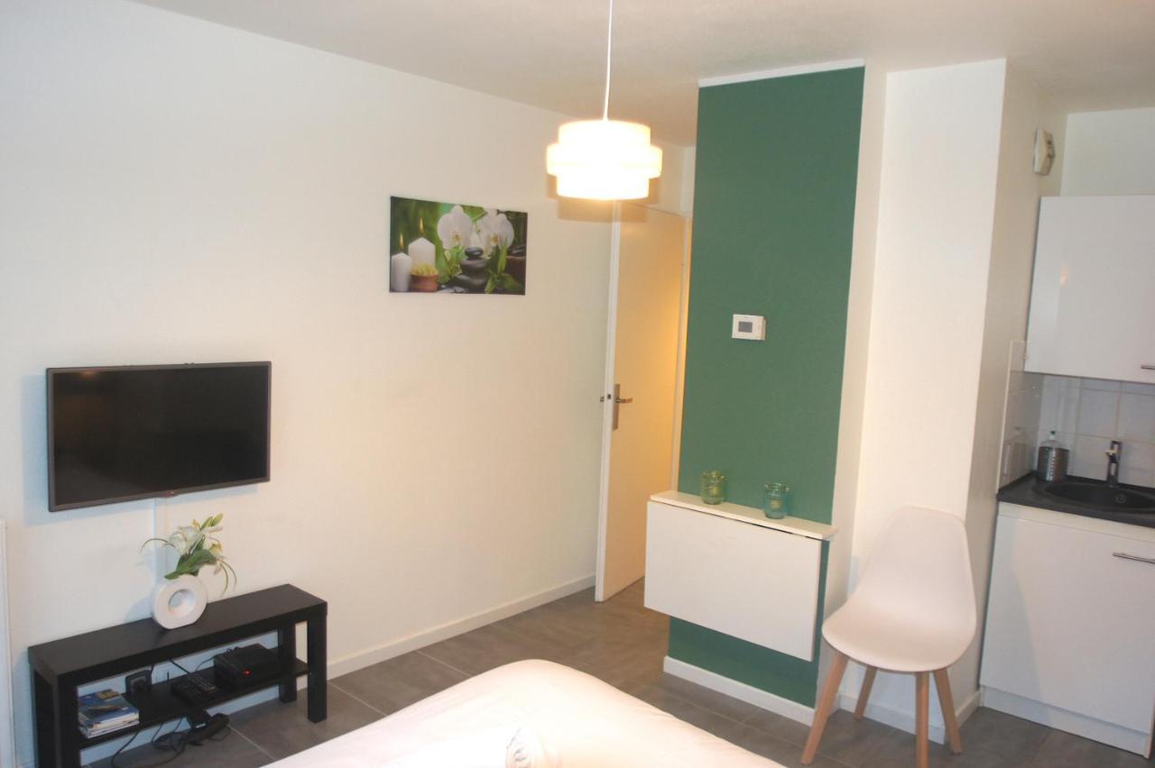 Апартаменти Le Saint Eloi - Studio Avec Parking Toulouse Centre Екстер'єр фото